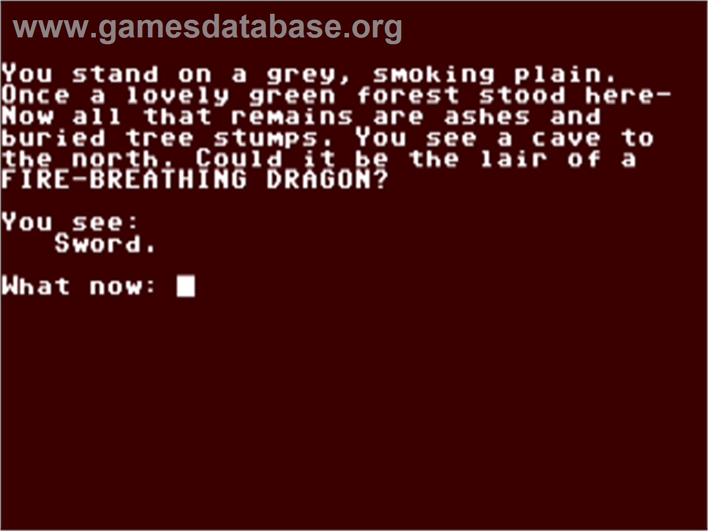 Adventure Writing System - Commodore 64 - Artwork - In Game