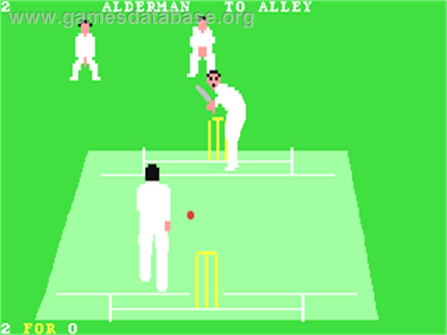 Allan Border's Cricket - Commodore 64 - Artwork - In Game