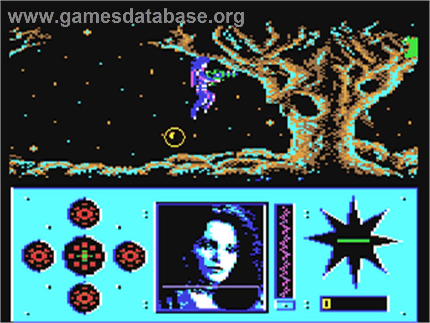 Amazon - Commodore 64 - Artwork - In Game