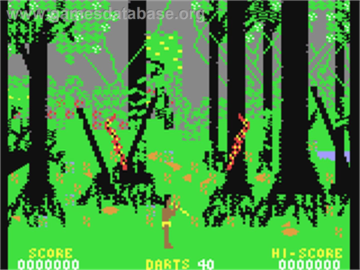 Amazon Warrior - Commodore 64 - Artwork - In Game