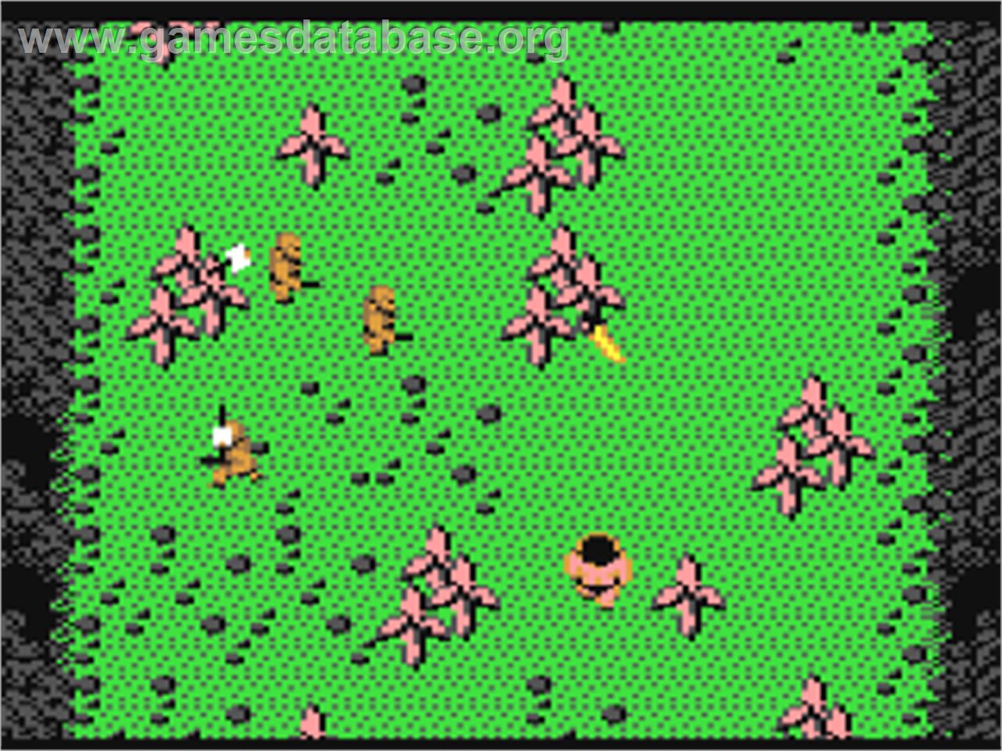 Arhena The Amazon - Commodore 64 - Artwork - In Game