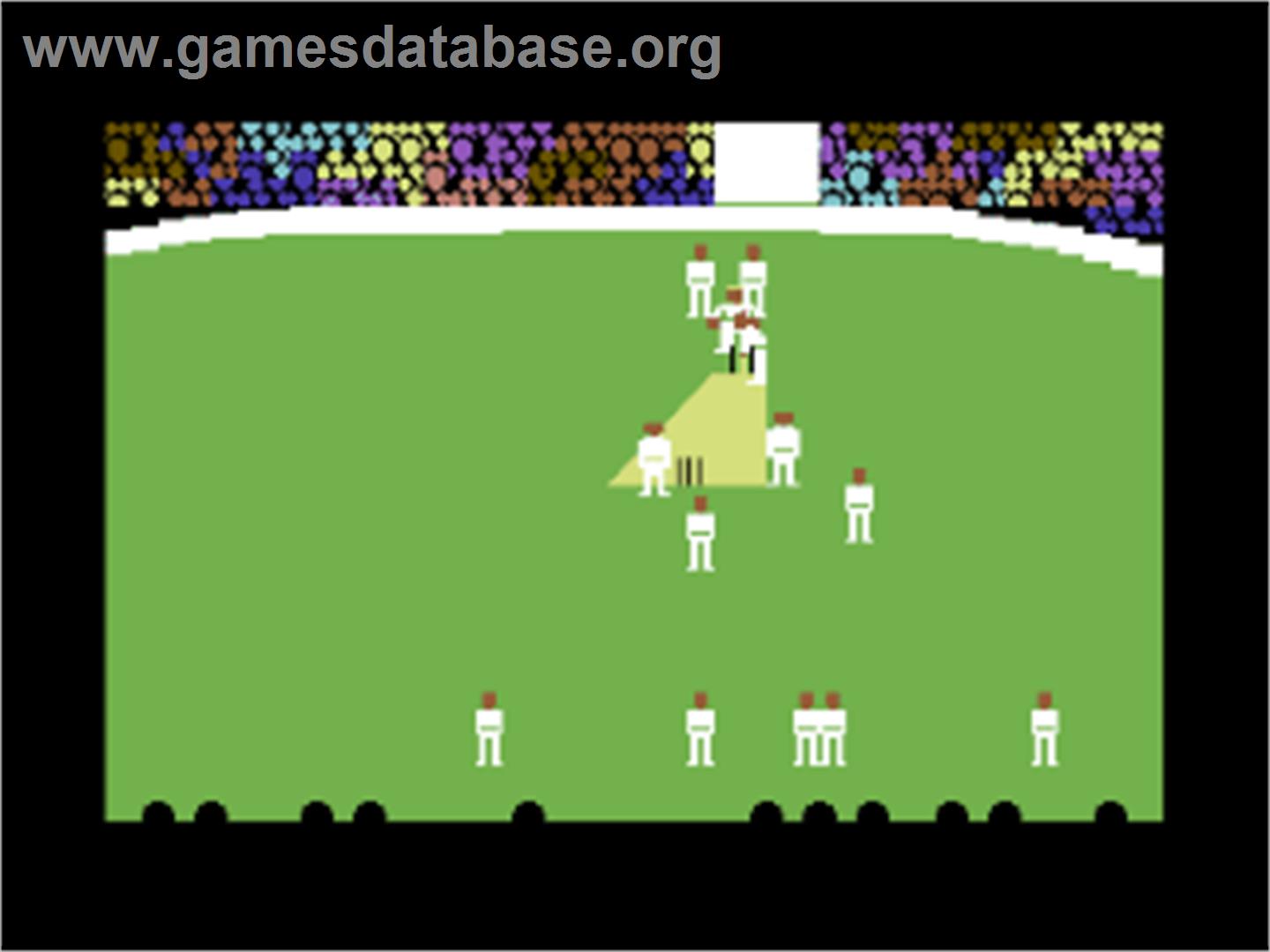Arnie Armchair's Howzat Cricket Game - Commodore 64 - Artwork - In Game