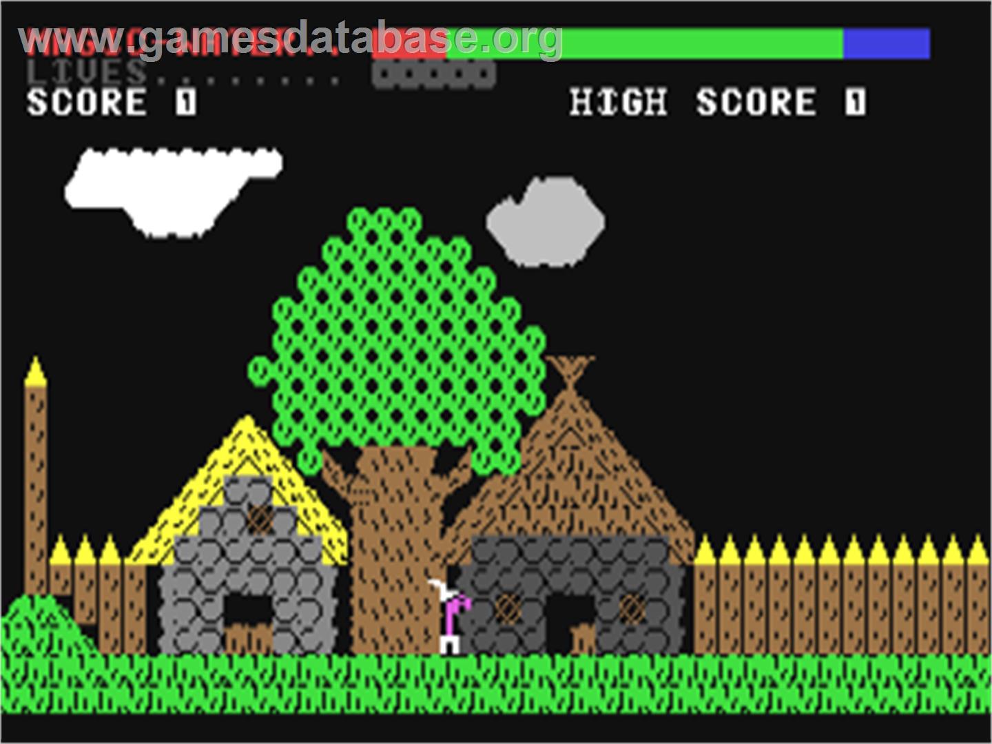 Asterix and the Magic Carpet - Commodore 64 - Artwork - In Game