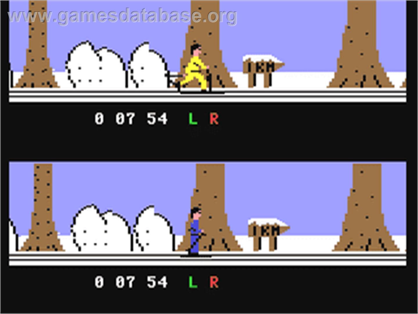 Biathlon (Northsoft) - Commodore 64 - Artwork - In Game