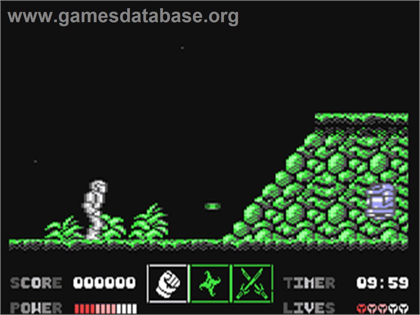Bionic Ninja - Commodore 64 - Artwork - In Game