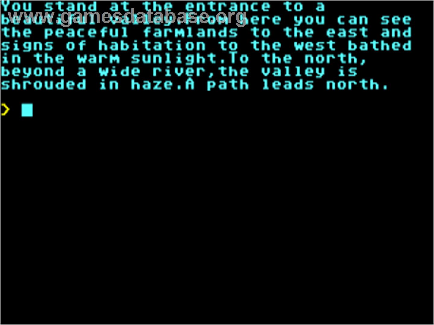 Black Knight (TimSoft) - Commodore 64 - Artwork - In Game