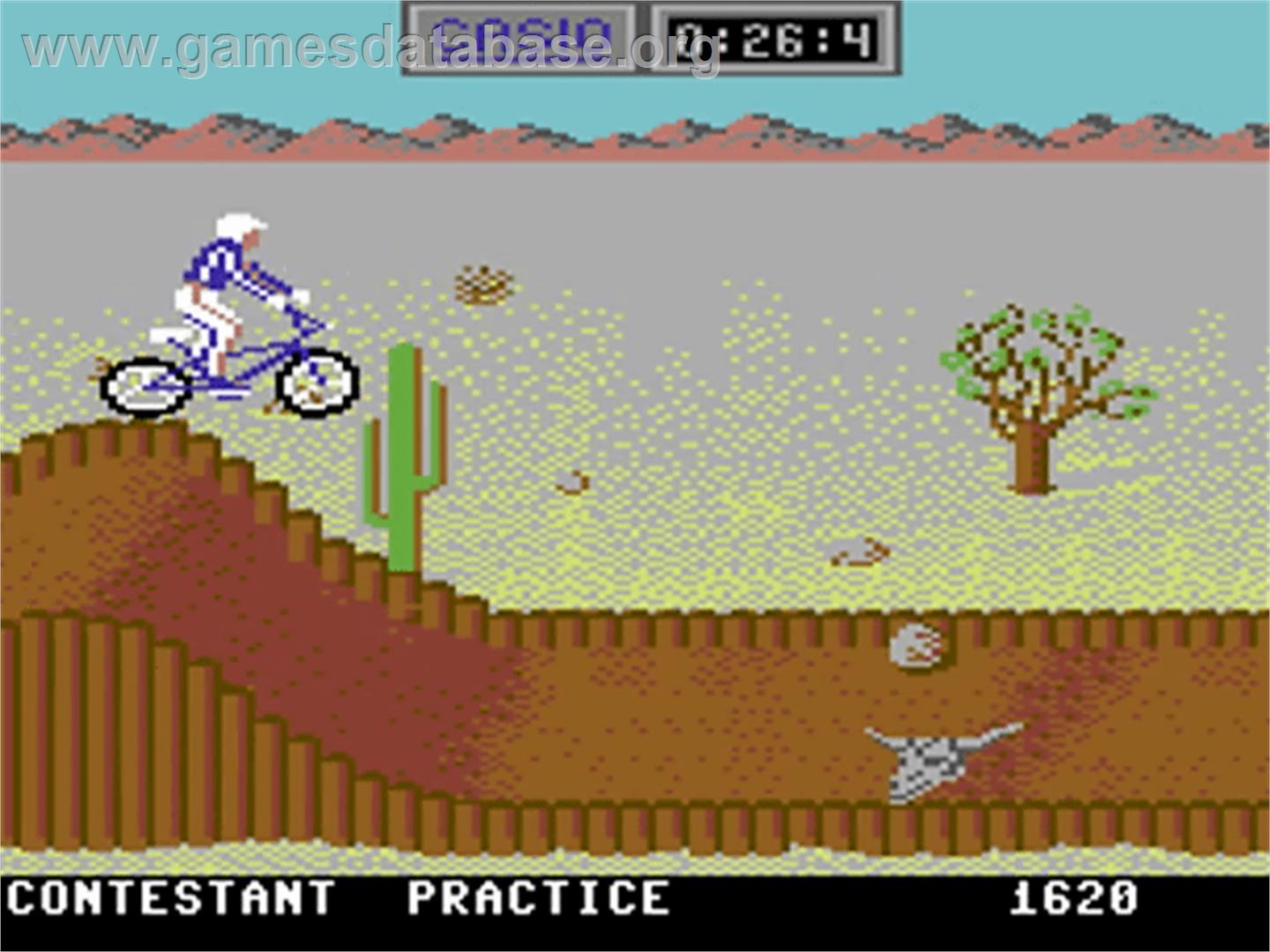 California Games - Commodore 64 - Artwork - In Game