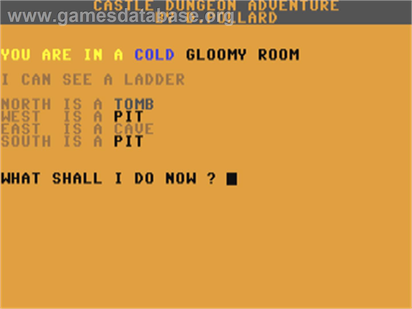 Castle Dungeon - Commodore 64 - Artwork - In Game