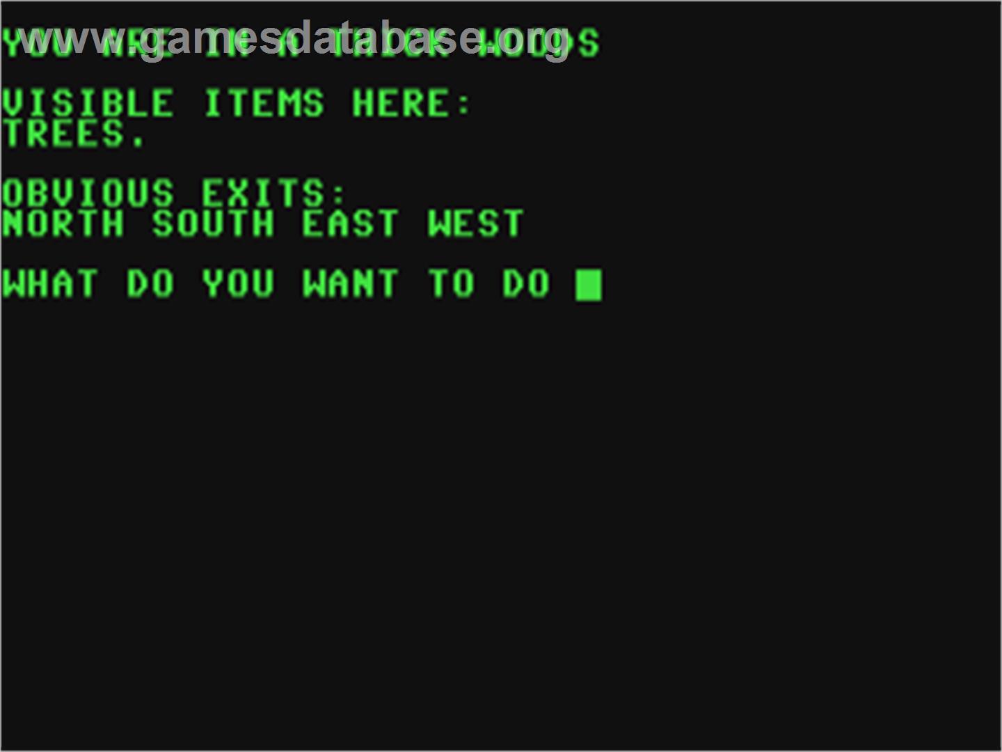 Castle Maze Adventure - Commodore 64 - Artwork - In Game