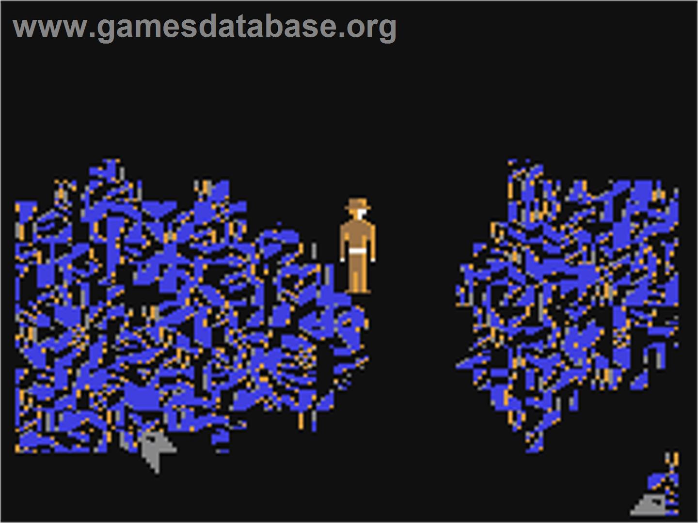 Caverns of Khafka - Commodore 64 - Artwork - In Game
