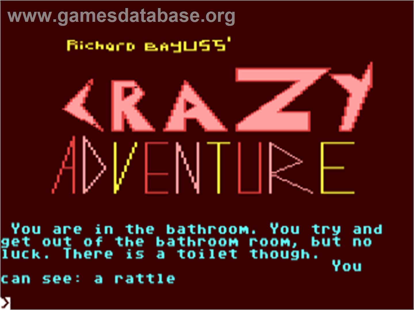 Crazy Adventure - Commodore 64 - Artwork - In Game