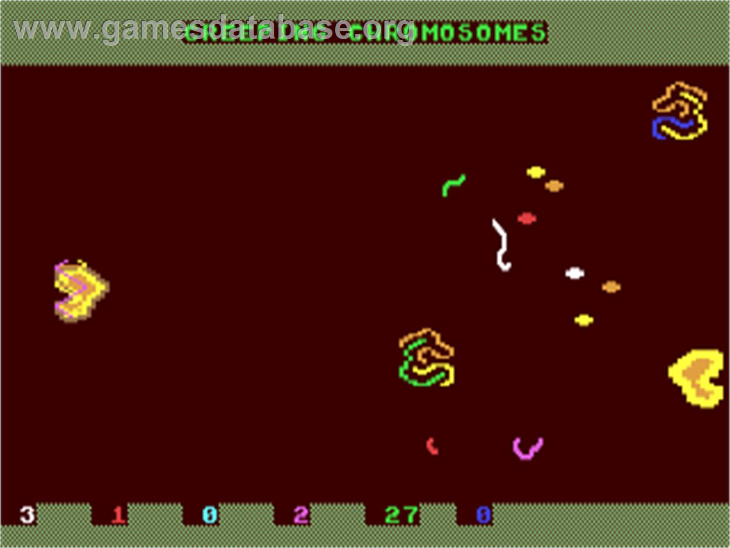 Creeping Chromosomes - Commodore 64 - Artwork - In Game