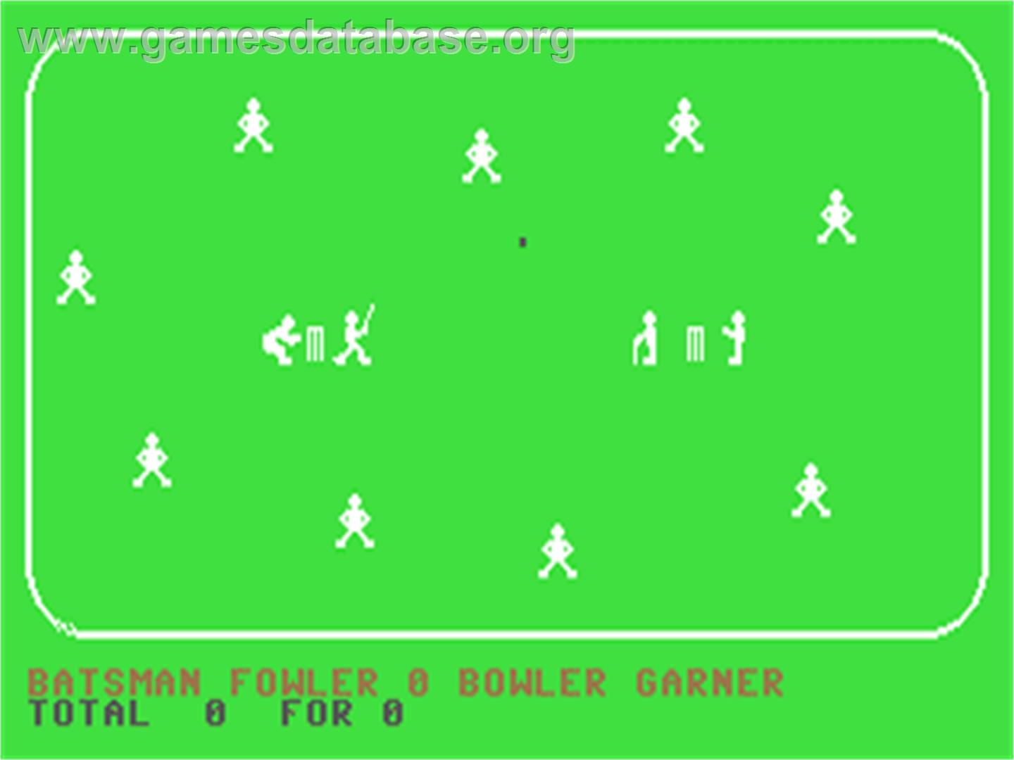 Cricket 64 - Commodore 64 - Artwork - In Game