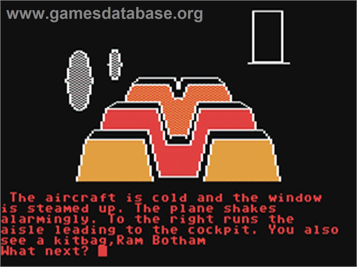 Cricket Crazy - Commodore 64 - Artwork - In Game