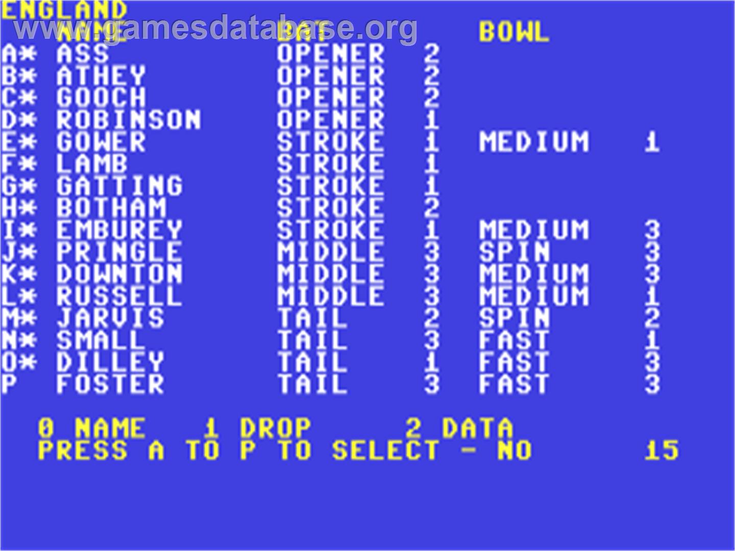 Cricket Master - Commodore 64 - Artwork - In Game