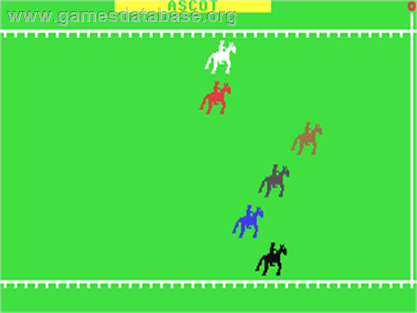 Derby Dash - Commodore 64 - Artwork - In Game