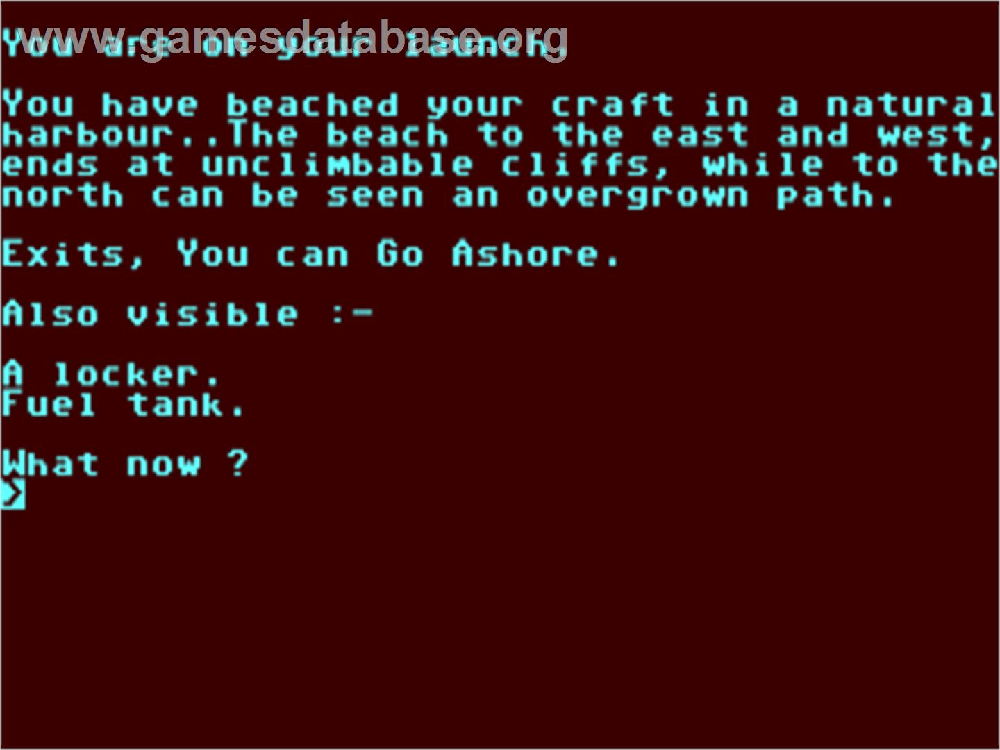 Desert Island - Commodore 64 - Artwork - In Game