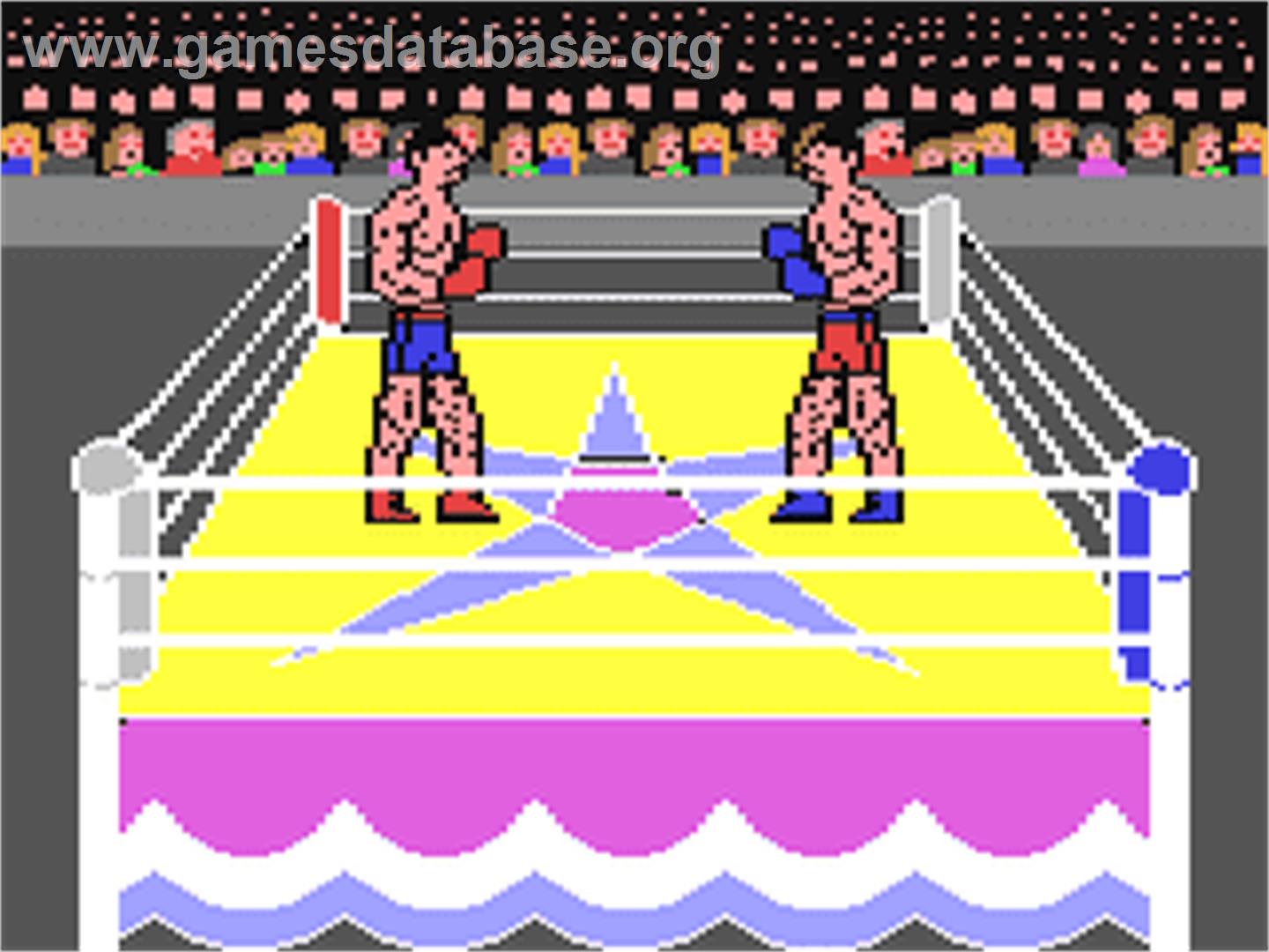 Devastating Blow - Commodore 64 - Artwork - In Game