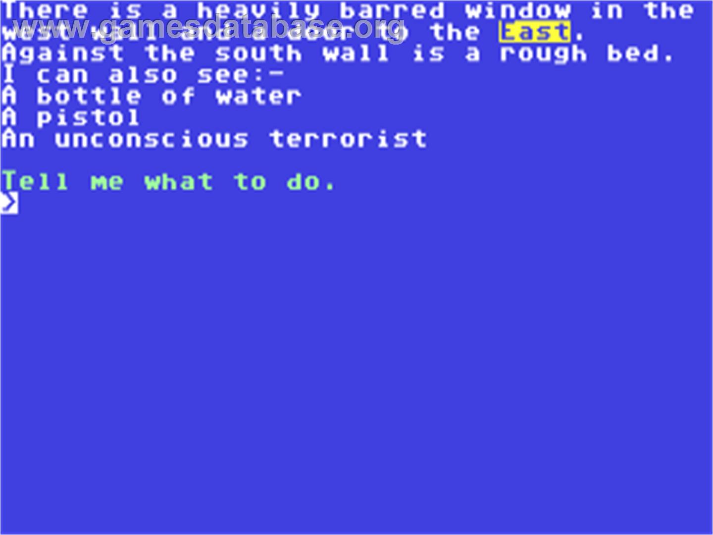 Diplomat's Dilemma - Commodore 64 - Artwork - In Game