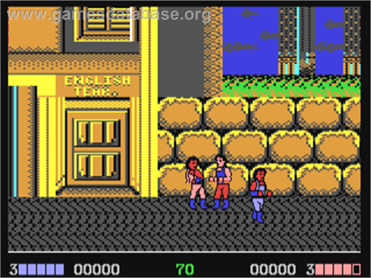 Double Dragon (Ocean) - Commodore 64 - Artwork - In Game