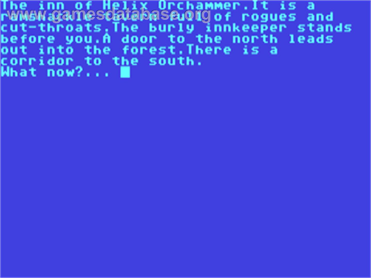 Dragonstone - The Quest - Commodore 64 - Artwork - In Game