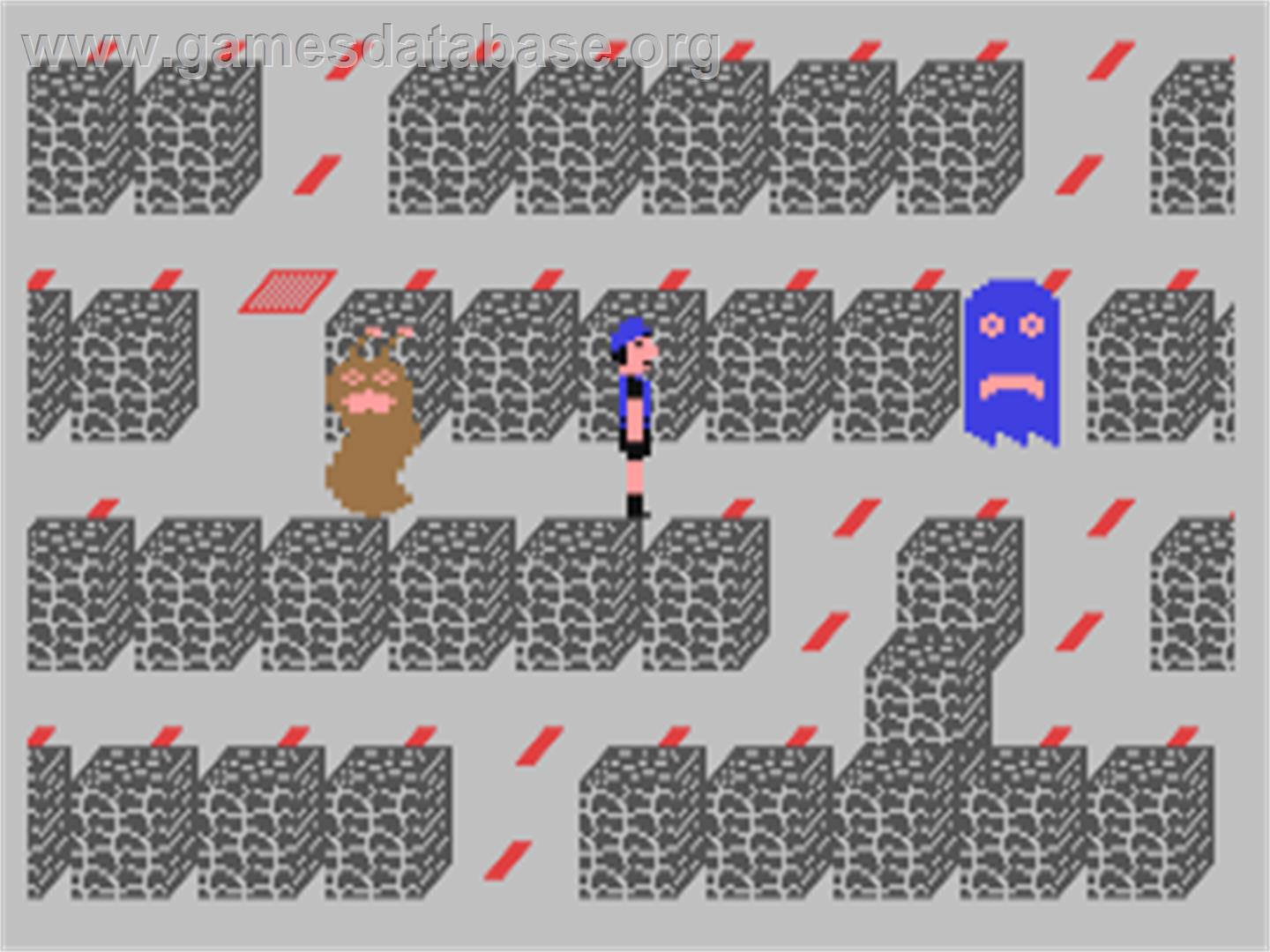 Dungeon (Commodore) - Commodore 64 - Artwork - In Game