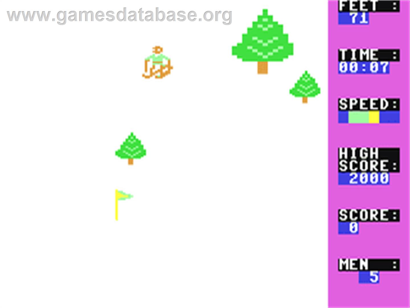 Dynamite Skier - Commodore 64 - Artwork - In Game
