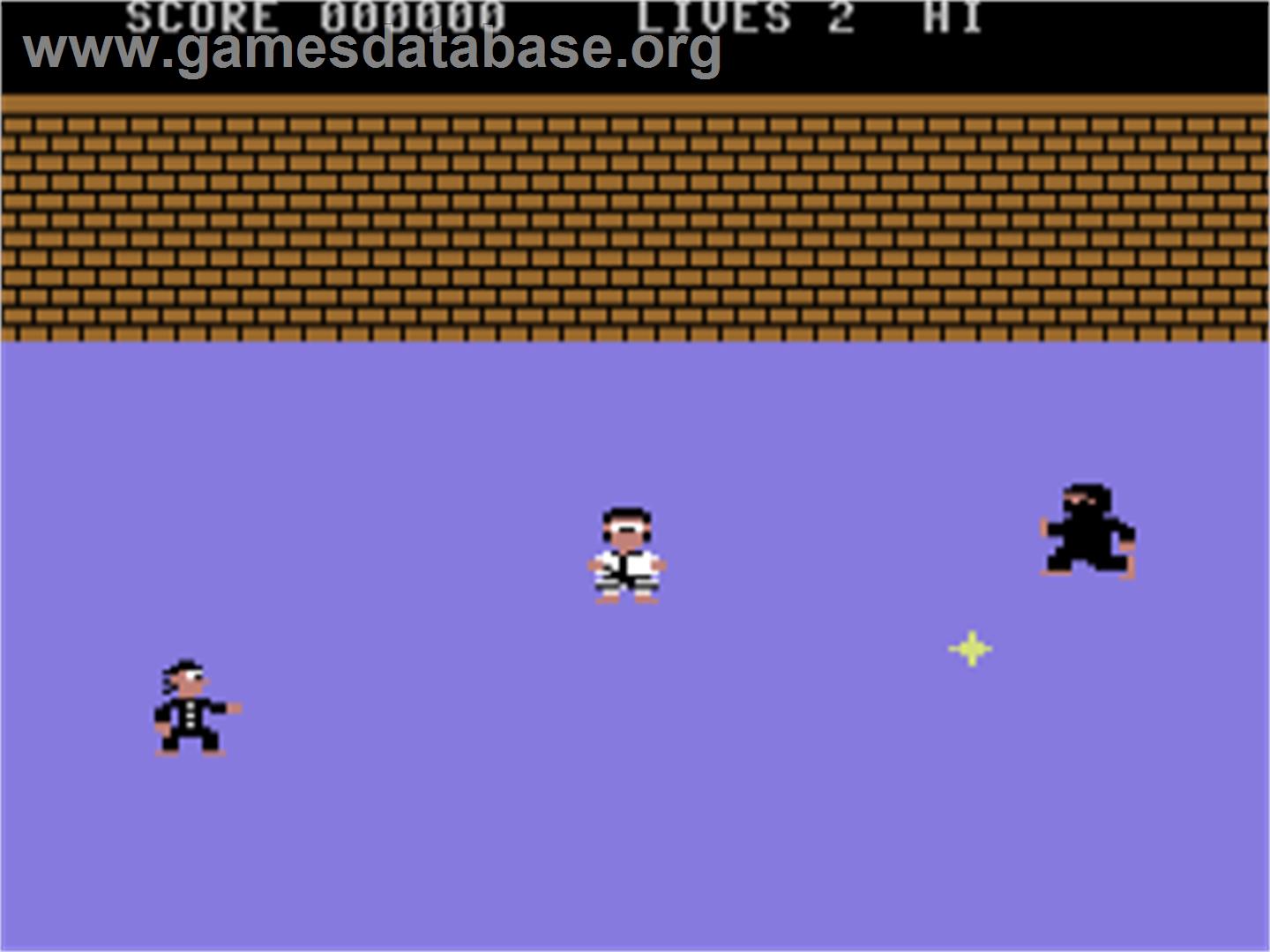 Enter The Ninja - Commodore 64 - Artwork - In Game