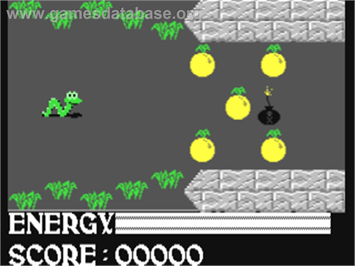 Eruca - Commodore 64 - Artwork - In Game