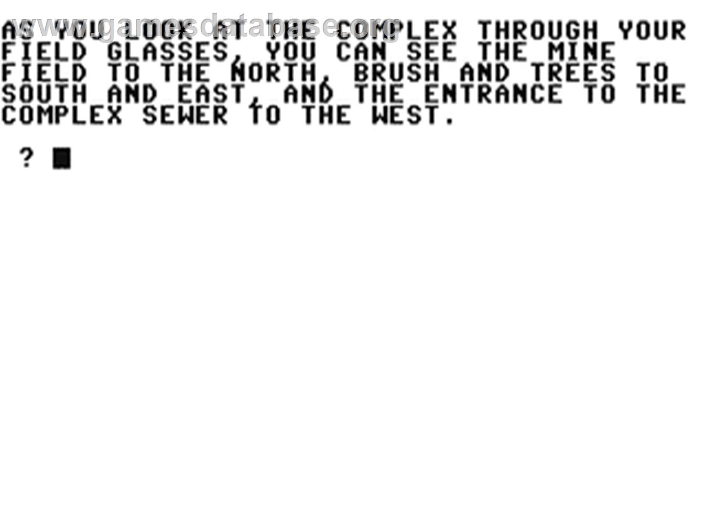 Espionage - Commodore 64 - Artwork - In Game