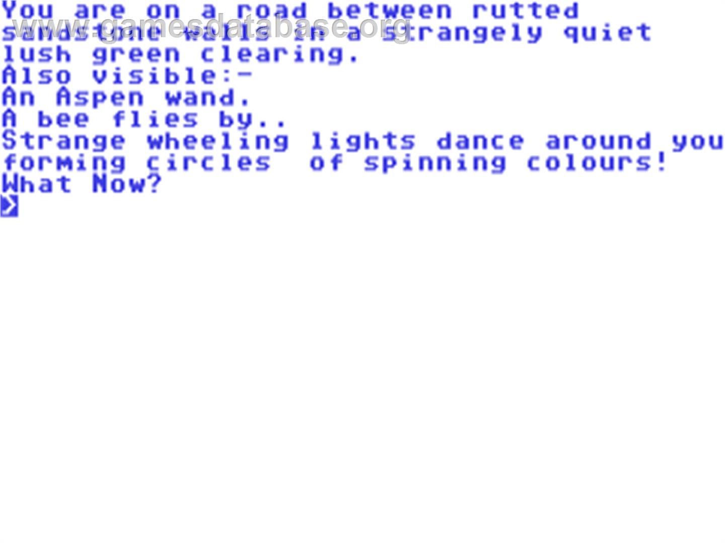 Faerie - Commodore 64 - Artwork - In Game
