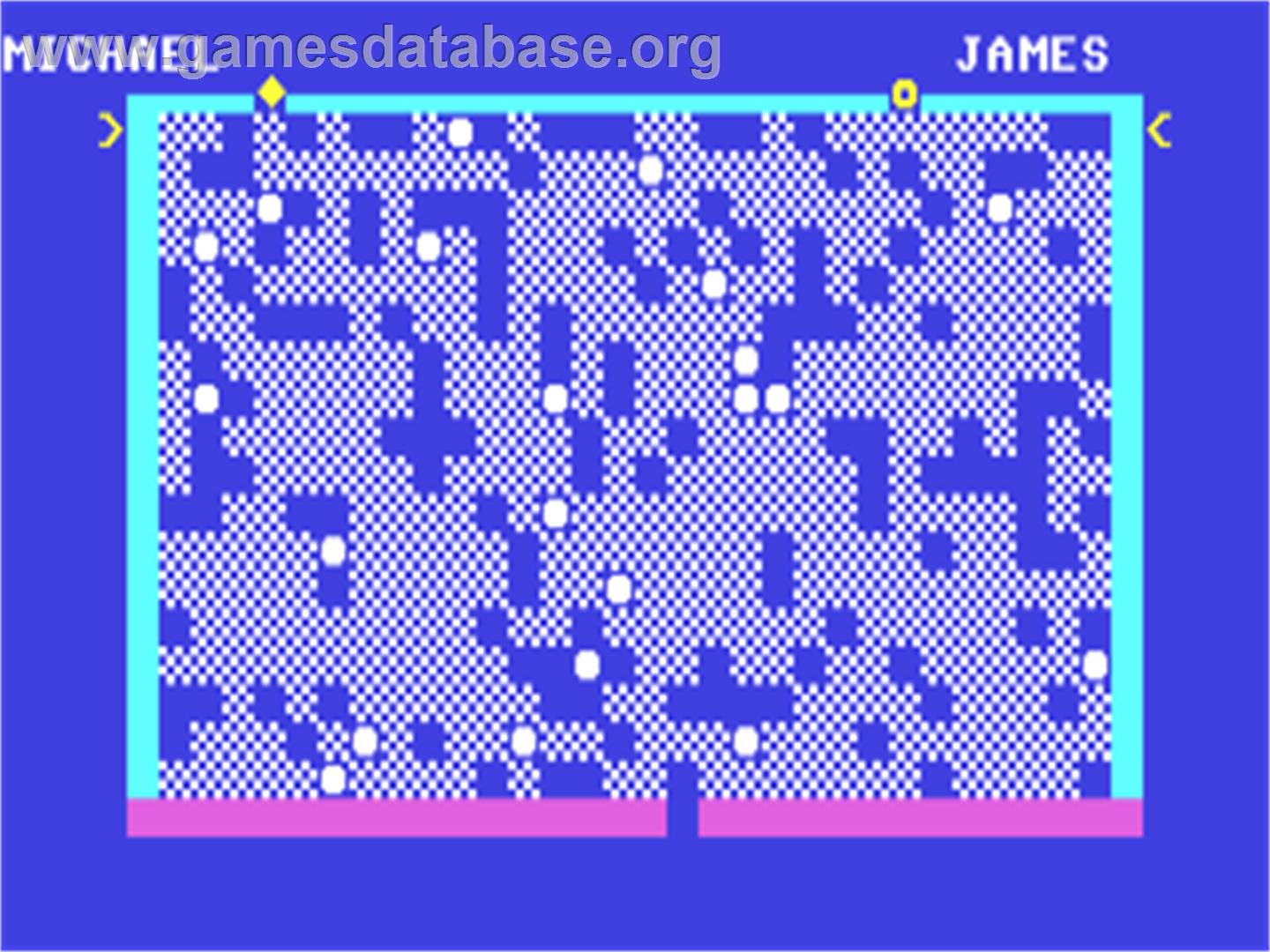 Fall Guy - Commodore 64 - Artwork - In Game