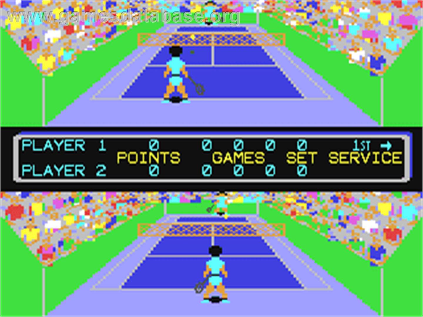 Final Tennis - Commodore 64 - Artwork - In Game