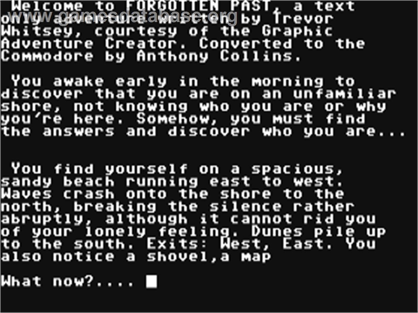 Forgotten Past - Commodore 64 - Artwork - In Game