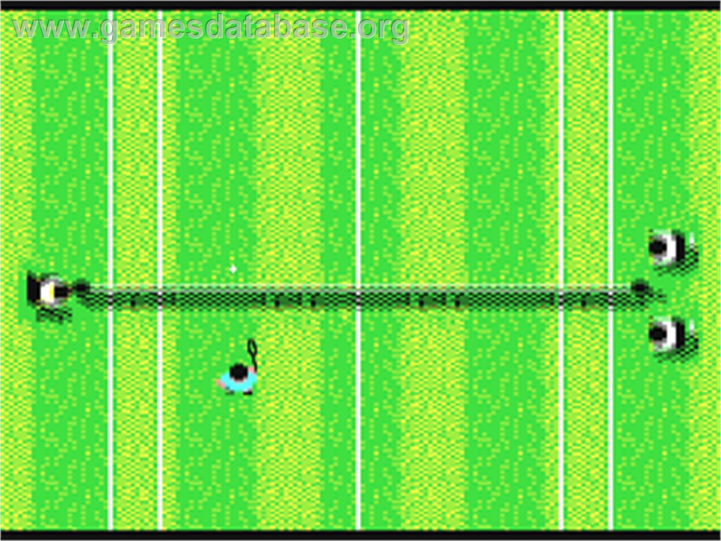 G.P. Tennis Manager - Commodore 64 - Artwork - In Game