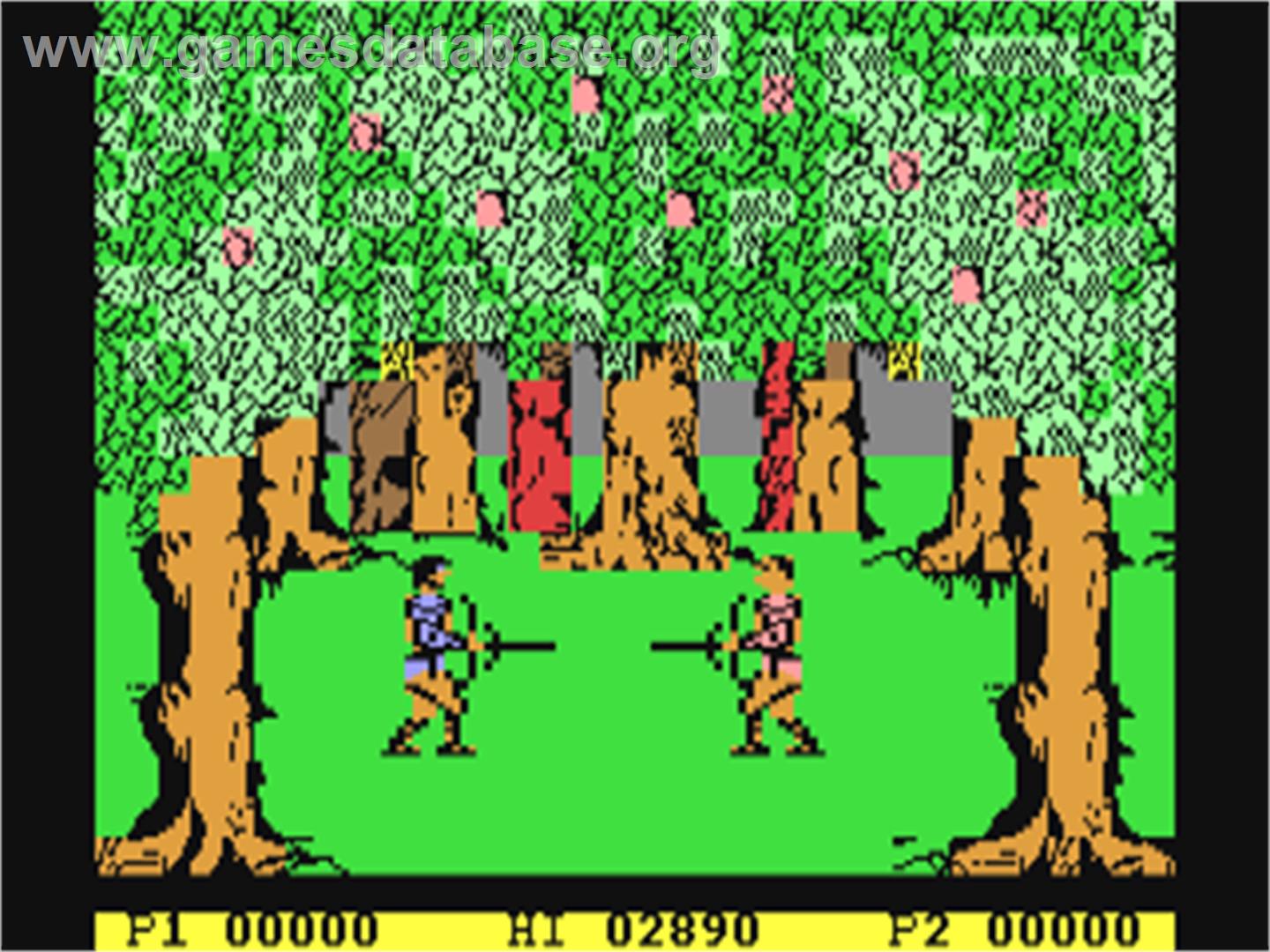 Gladiator (Domark) - Commodore 64 - Artwork - In Game