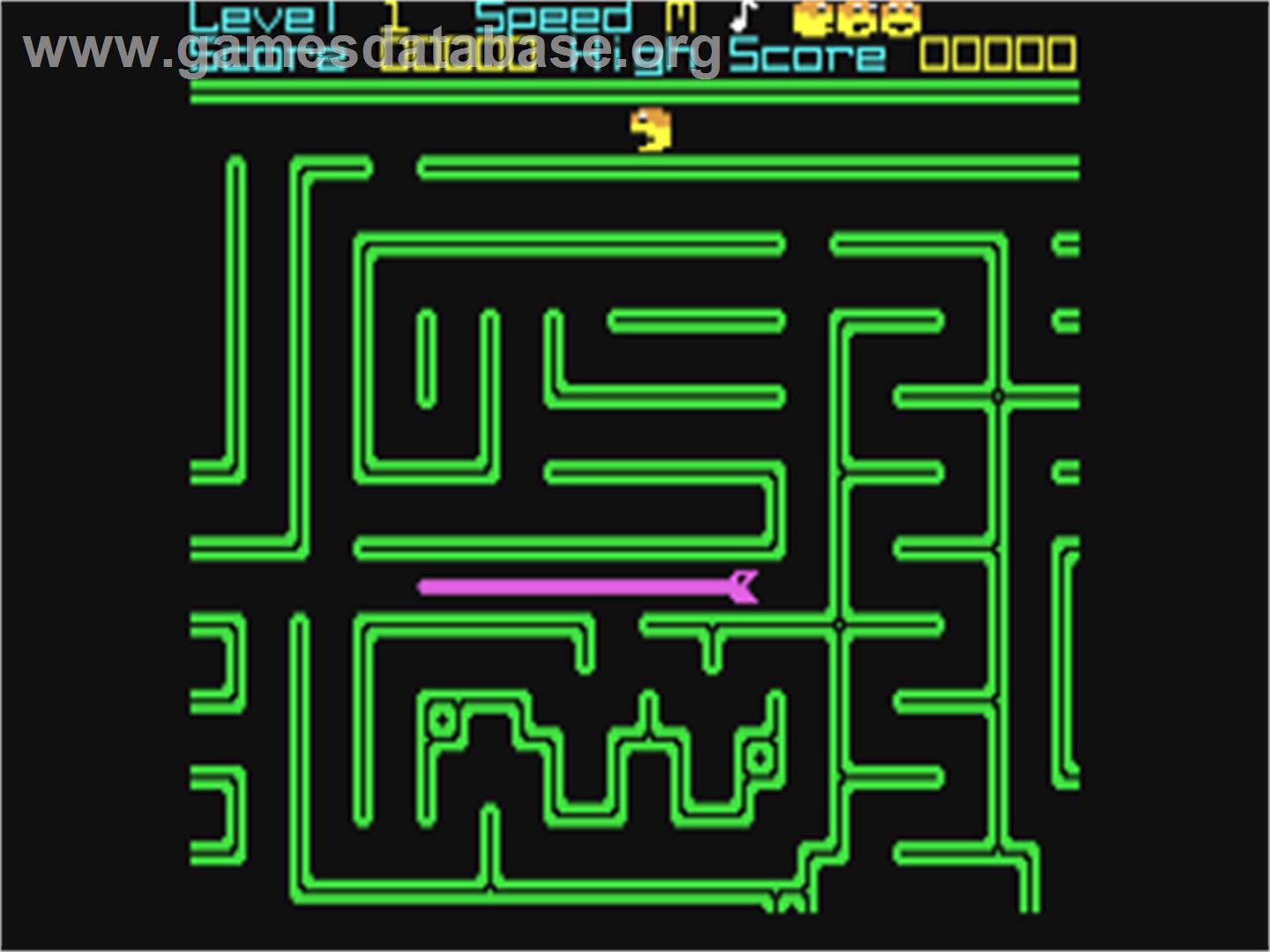 Hyper Viper - Commodore 64 - Artwork - In Game
