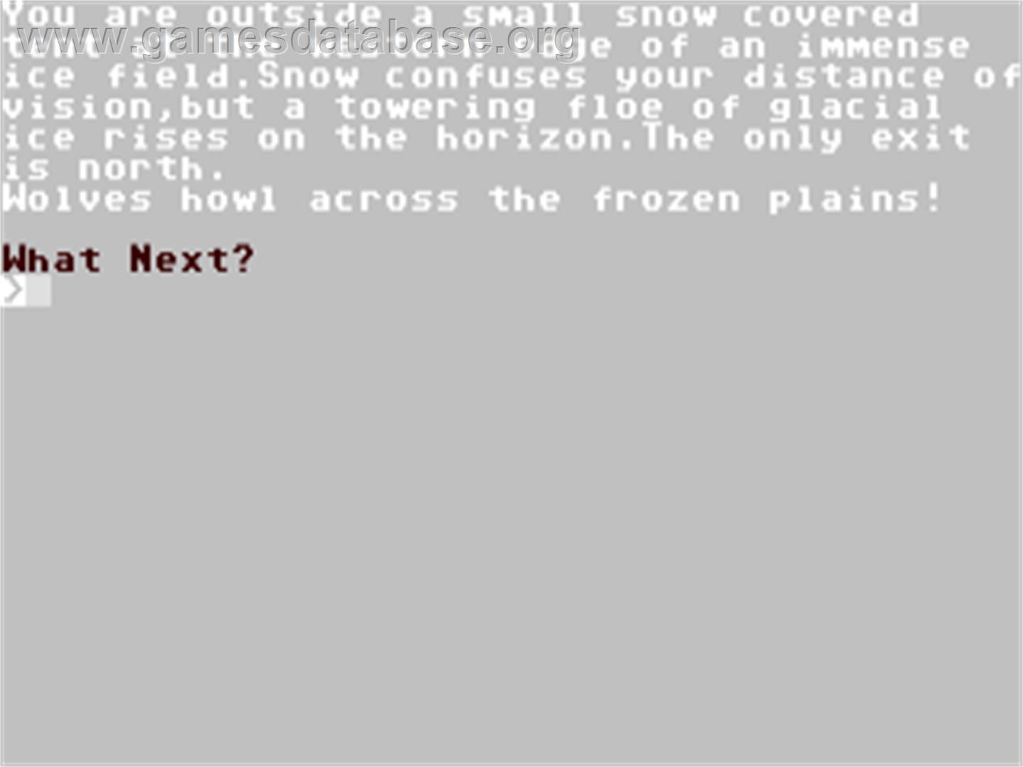 Ice Station Zero - Commodore 64 - Artwork - In Game