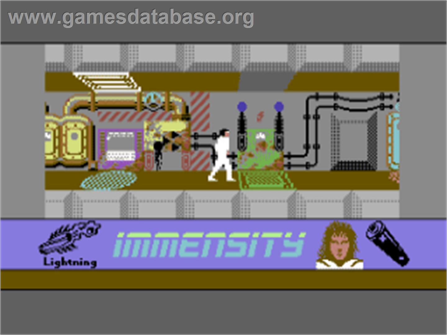 Immensity - Commodore 64 - Artwork - In Game