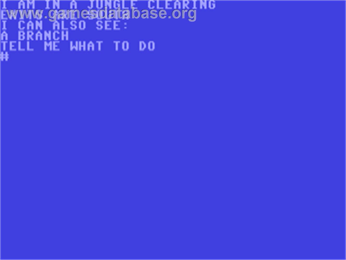 Inca Curse - Commodore 64 - Artwork - In Game
