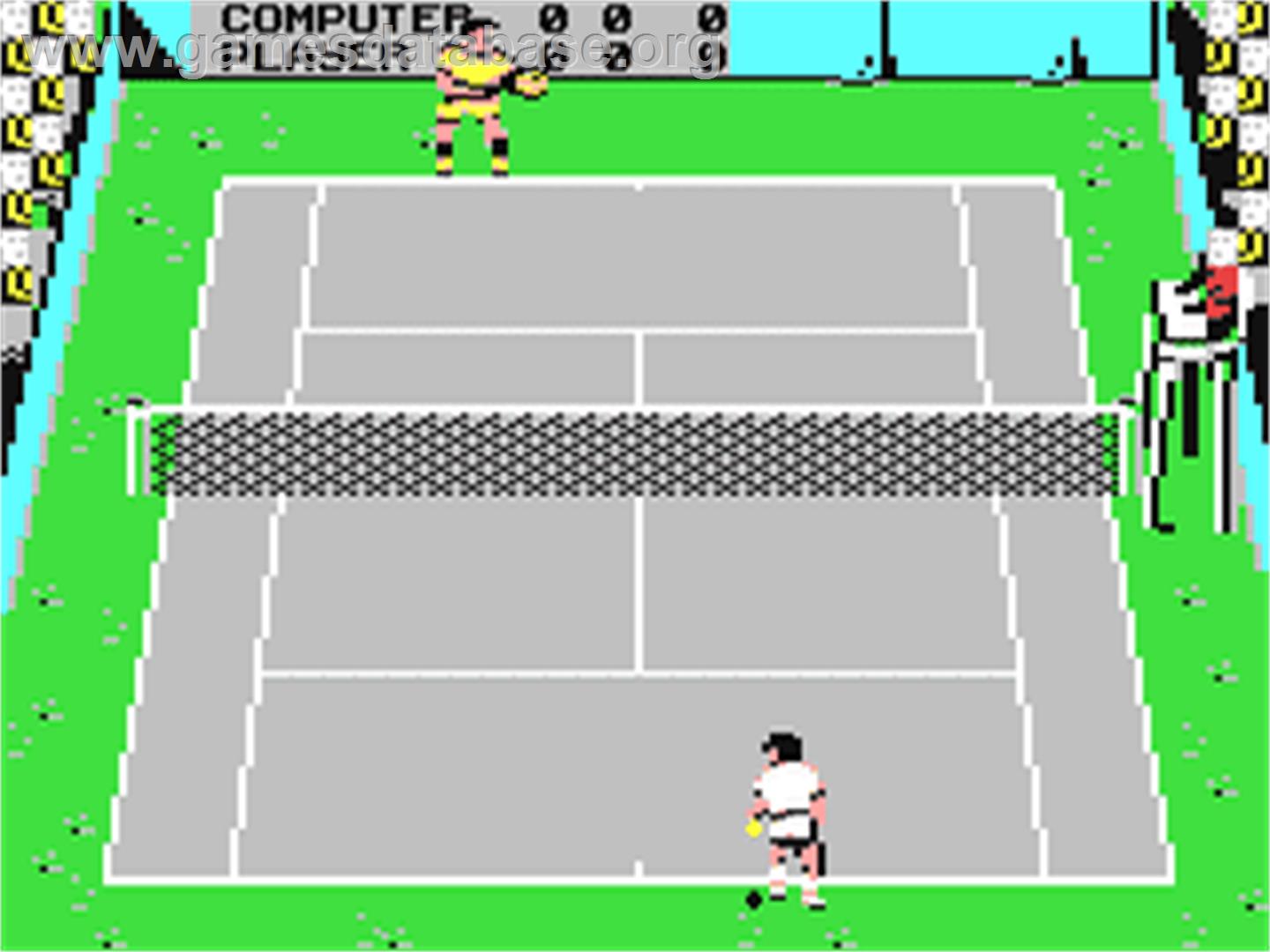 International Tennis (Commodore) - Commodore 64 - Artwork - In Game
