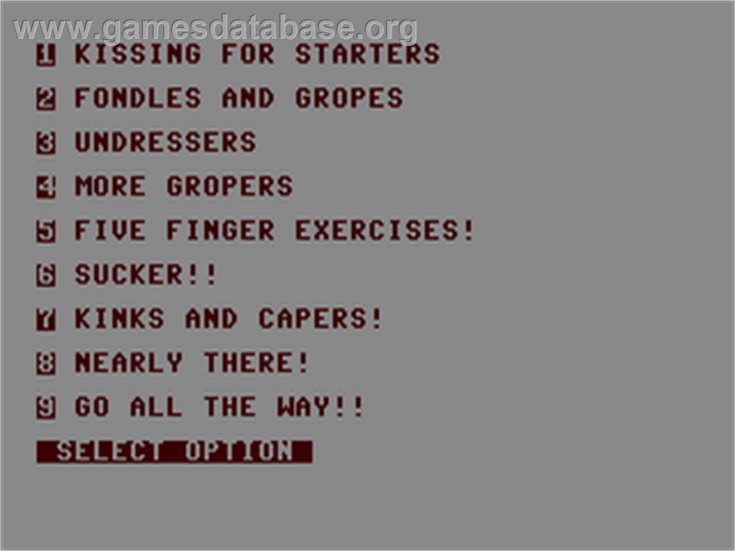 Love Bytes - Commodore 64 - Artwork - In Game