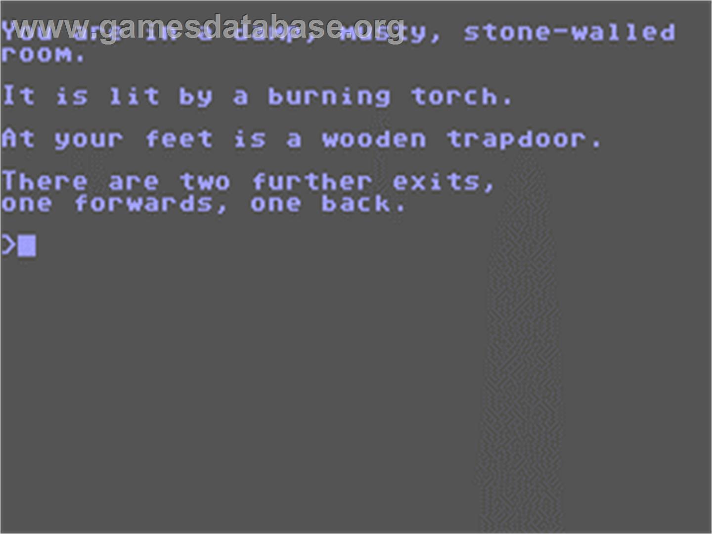 Macbeth - Commodore 64 - Artwork - In Game