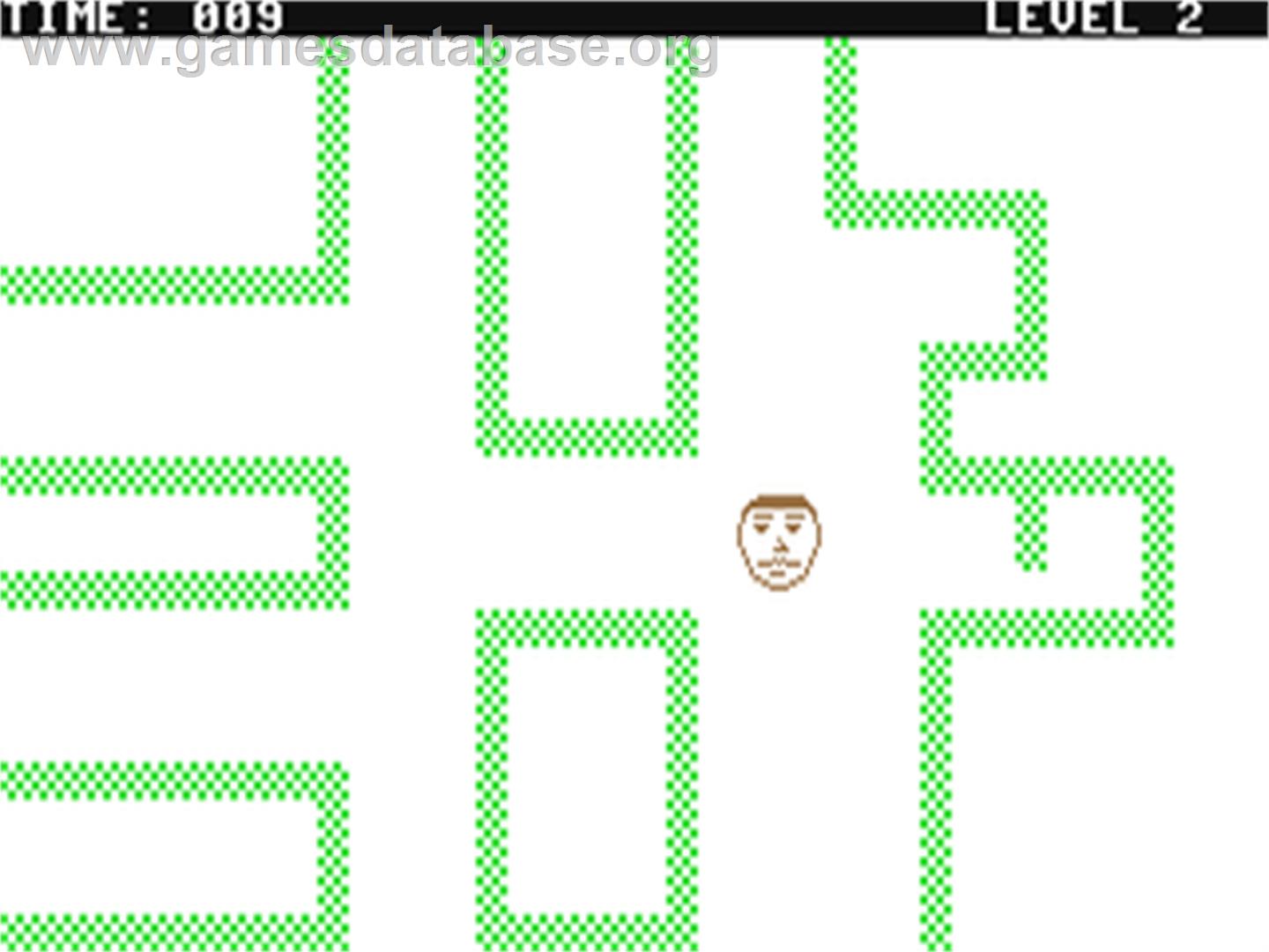 Maxi Maze - Commodore 64 - Artwork - In Game