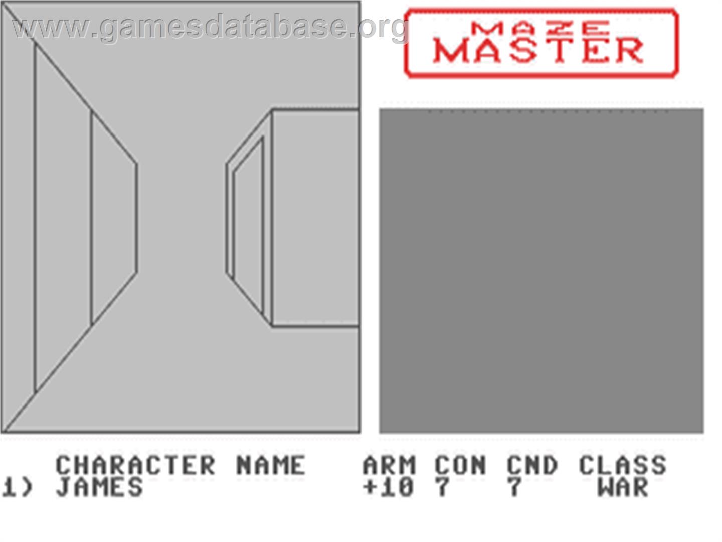 Maze Master (HesWare) - Commodore 64 - Artwork - In Game