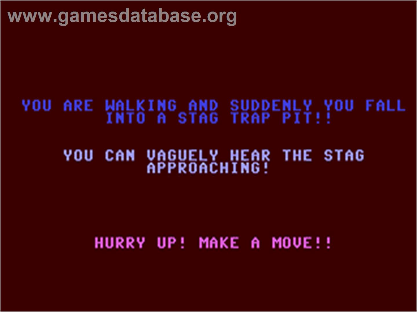 Medieval Adventure - Commodore 64 - Artwork - In Game