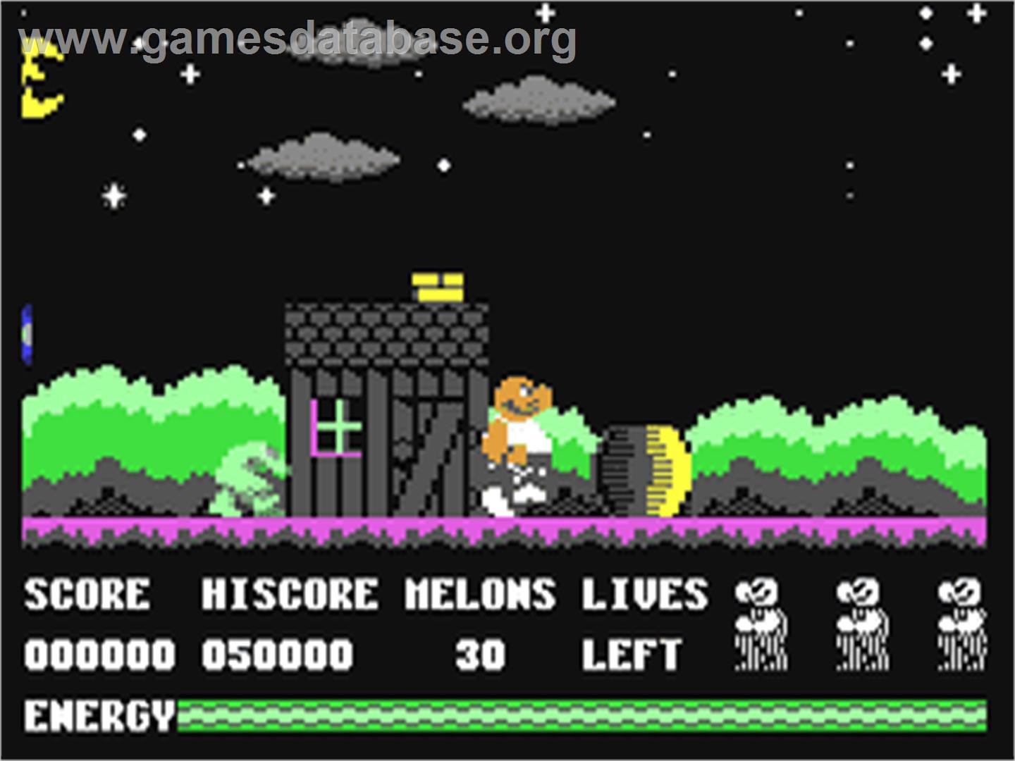 Melonmania - Commodore 64 - Artwork - In Game