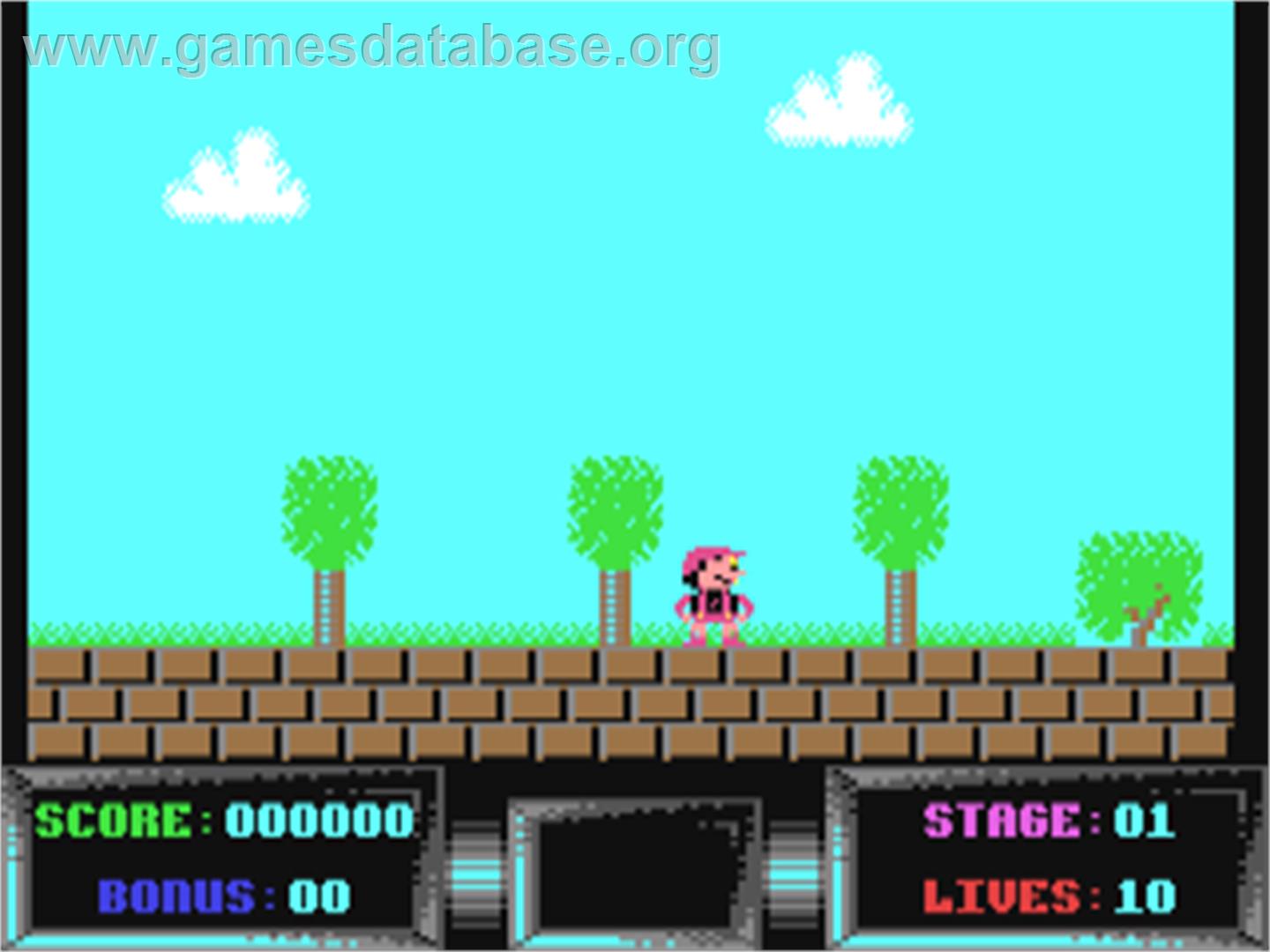 Mystery (Magna Media) - Commodore 64 - Artwork - In Game