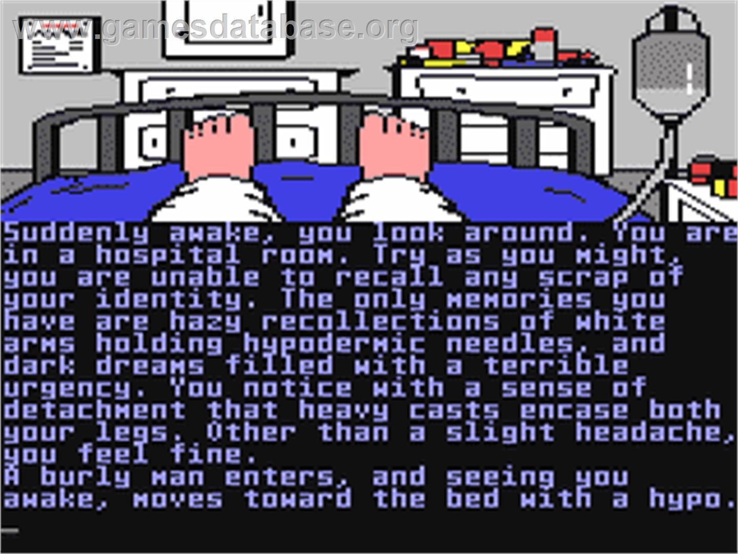 Nine Princes In Amber - Commodore 64 - Artwork - In Game