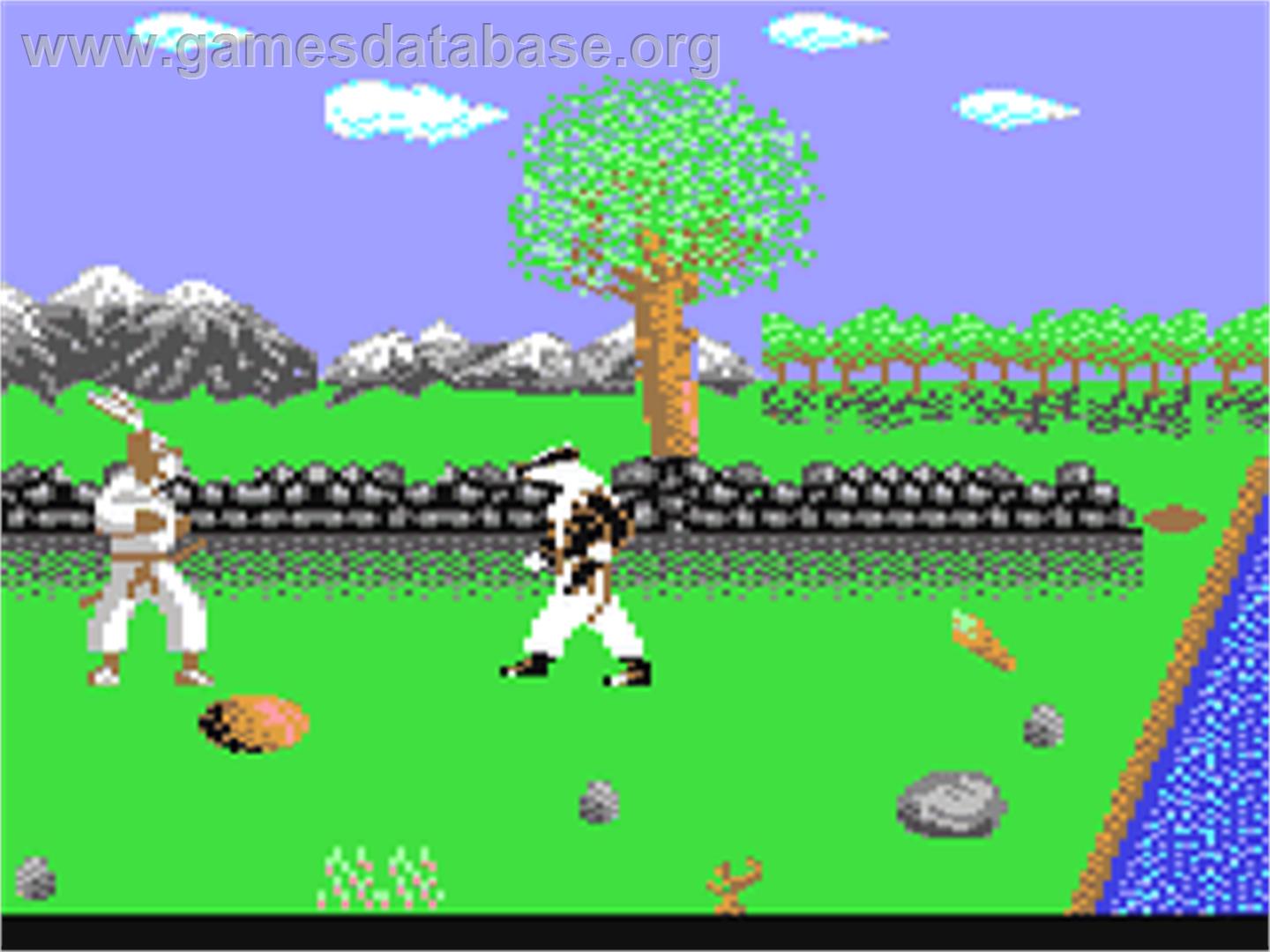 Ninja Rabbits - Commodore 64 - Artwork - In Game